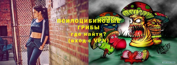 mdpv Киреевск